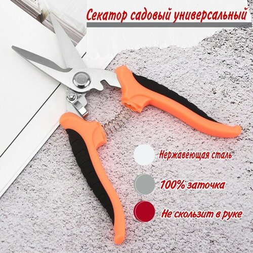 ���� ������� ������� ������������� ��������� ��� ������, ��� ����, �������� ��� ��������, ������, �����, ��������, ������ �� 299 ���