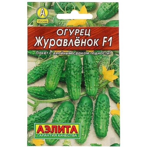 ���� ������ ������ 