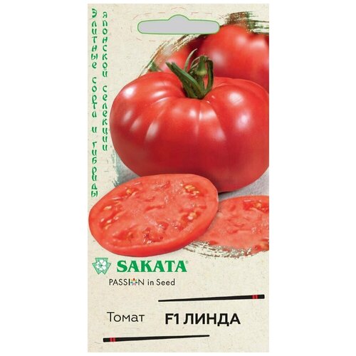     F1, 8, ,    , Sakata,   79 