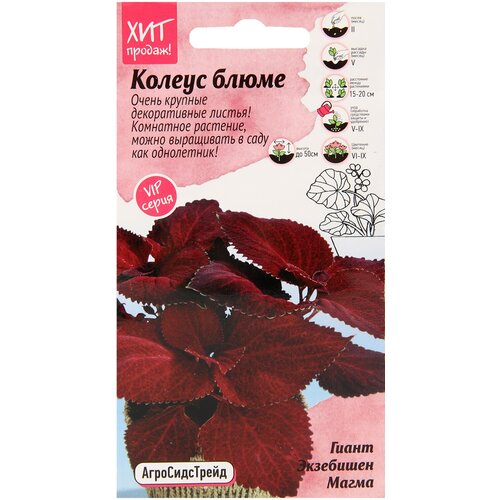 ���� ������ ������ ����� ����� ��������� ����� 10 ��, ��������� ����������� ����� ��� ������� � �����������, ���������� ��� ����, ��������� ��� �������, ������ �� 707 ���