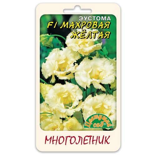 ���� ����� ������� (���������) F1 �������� ������ (������ �������� ��� 5 ��. � ������), ������ �� 340 ���