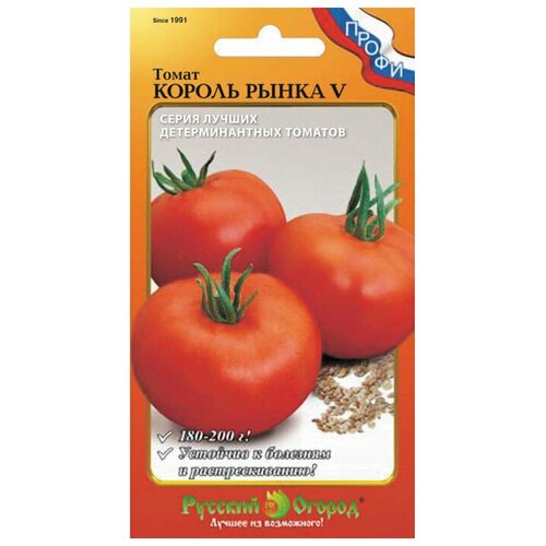 ���� ����� 