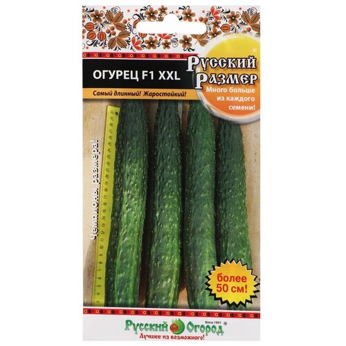    XXL, F1,   , 8 ,   371 