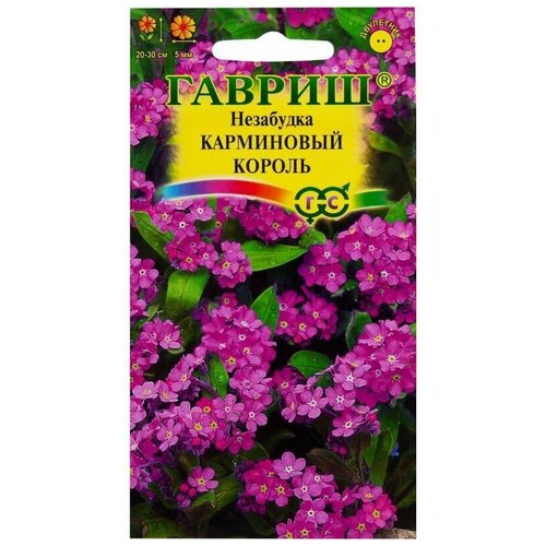 ���� ������. ��������� 