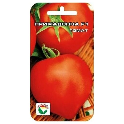 ���� ������ ��������� ��� 