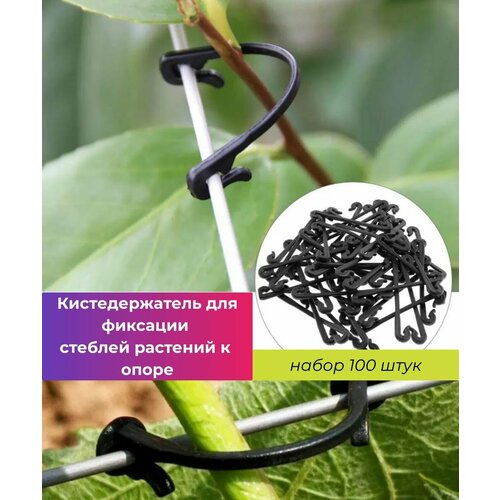 ���� ������-�������� ��� ���� ����� 100 ��, �������������� ��� �������� ������� �������� � �����, ������ ��� ��������� ���������, ������ ��� ������� ������, ������ �� 399 ���