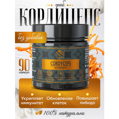 ���� ��������� � �������� �� 500 ��, ��������� 90 ��., ������ �� 760 ���