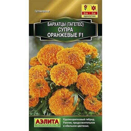 ���� ������ �������� ����� ��������� F1 ����������, (������) 10��, ������ �� 71 ���