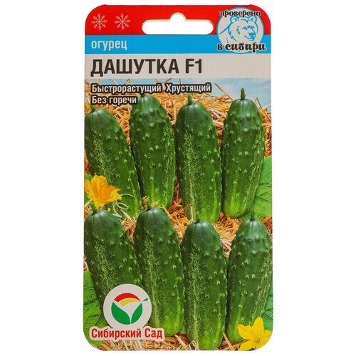 ���� ������ ������ 