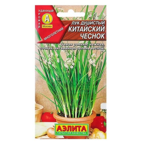 ���� ������ ��� �������� 