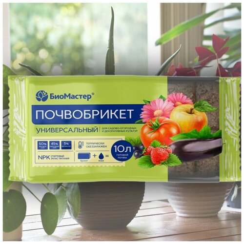 ���� ����������� ��������� / ����� ��� ������� � ���� ����� ��������� � ������-��������� ��������, 10 ������, ������ �� 279 ���