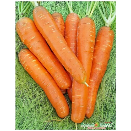 ���� ������. ������� �� (���: 2 �), ������ �� 44 ���