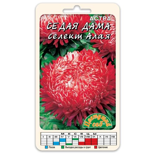 ���� ����� ����� ����� ���� ������ ���� (������ �������� ��� 0,1 �), ������ �� 62 ���