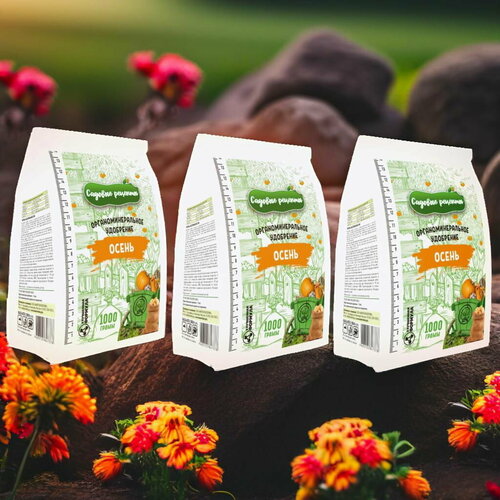 ���� ������� 1�� / 3��. ����������������� ���������. ������� �������., ������ �� 470 ���