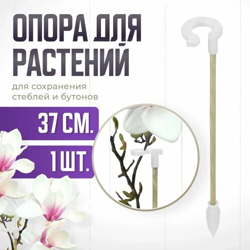 ���� ����� ��� �������� � �������, ������� ������� ��� �������, ��� ������� , ��������� ������ 37 �� 1 ��, ������ �� 188 ���