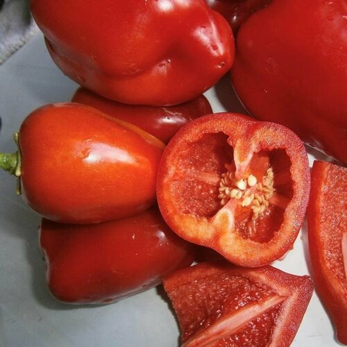 ���� ����� ������� ����� �������, ��������� ������� ��������� ������������� ��� ��������� ������ ������������� �� ��������� ��������, 25 �����, ������ �� 279 ���