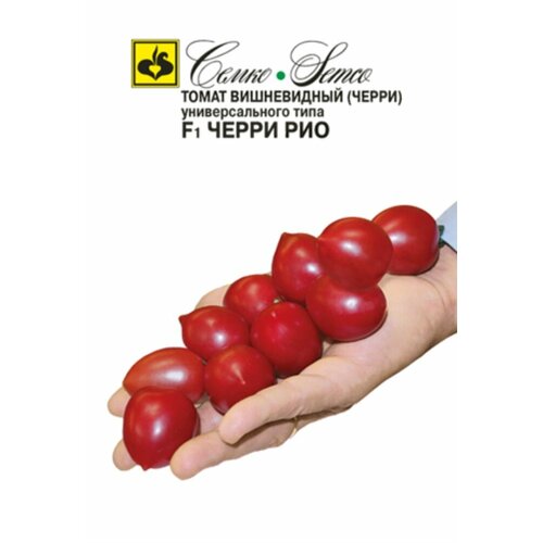 ���� ������ ����� ����� ��� F1 10�� ����� ������ (�����), ������ �� 203 ���