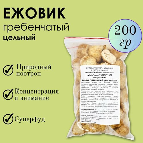 ���� ���� ������ 