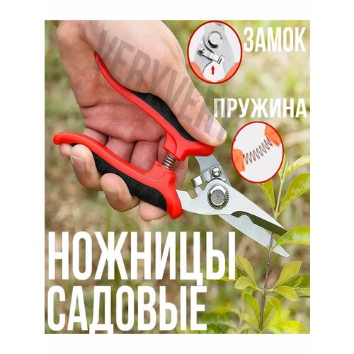 ���� ������� ������� ������� ��� ������ � ������, ������ �� 264 ���