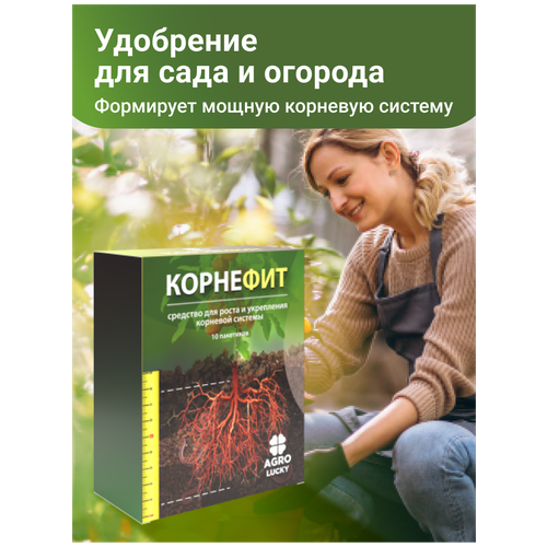 ���� ��������-������������ ��������� ��� ���� � �������, ��� �����, ���������, ��������� ����� ��������, ������ �� 231 ���