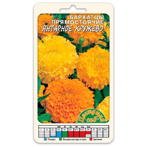 ���� ������ �������� ��� 