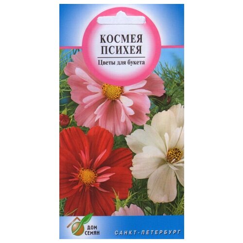 ���� ������ �������� ������, 45 �����, ������ �� 238 ���