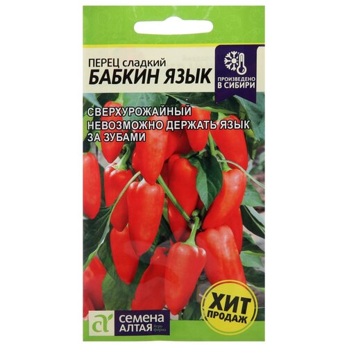 ���� ������ ����� 