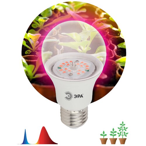       FITO-14W-RB-E27-K -  14  27 (2 ),   1056 