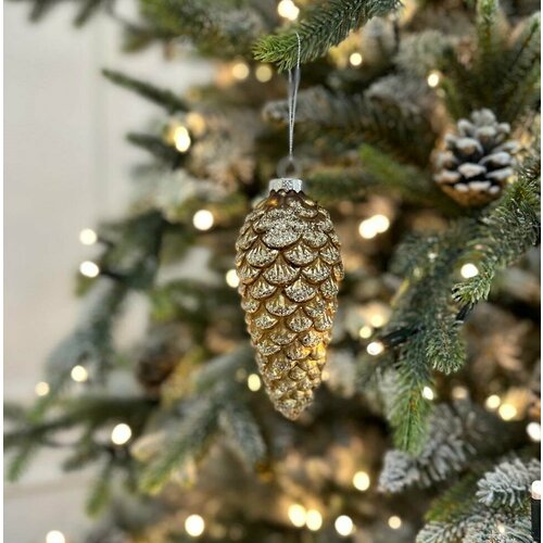 ���� ������� ���������� ������� ������, ������ �� 580 ���