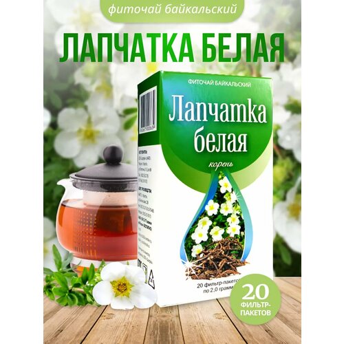 ���� �������� ����� ������ 20 ������ ������� �������, ������ �� 386 ���