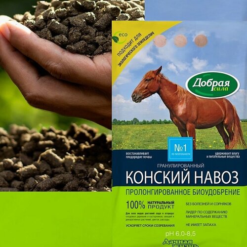      , 2 , 2000 , 1 .,   556 