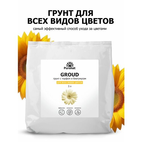 ���� ����� (�����) ��� ��������� � ������� ������ ������ (�� ������ ���������). ���������� � ������ � ���������� (Purshat) 3 �, ������ �� 636 ���