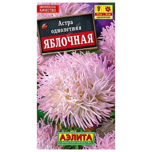 ���� ������� ����� 