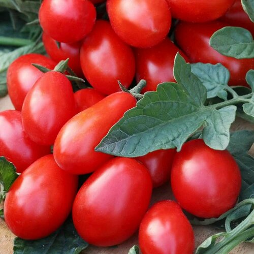 ���� ����� F1 ������� �������� 5 ���� ����� ������� ������, ������ �� 117 ���