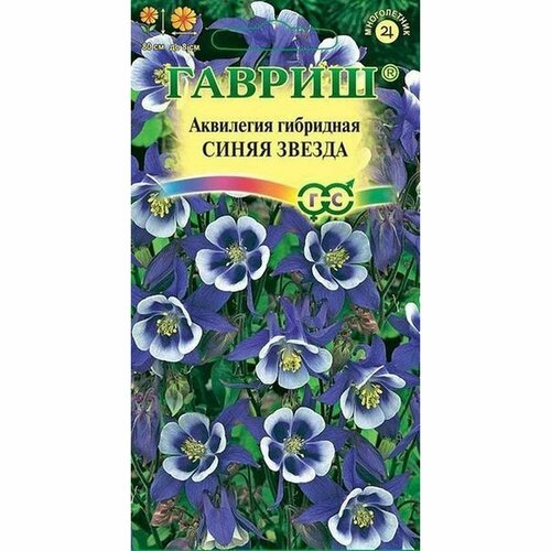 ���� ������ ��������� ��������� ����� ������, �����������, (������) 0,1�, ������ �� 41 ���