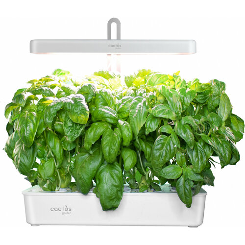 ���� ����������� ��������� Cactus Garden CS-LEDPOT-10 2.0� 20�� �����, ������ �� 4483 ���