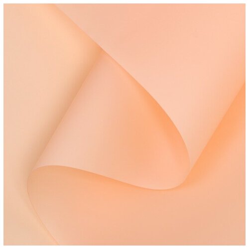 ���� ������ ����������� ����-���� 