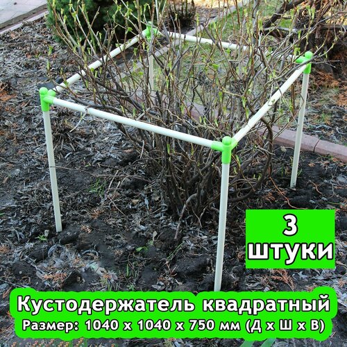 ���� �������������� 