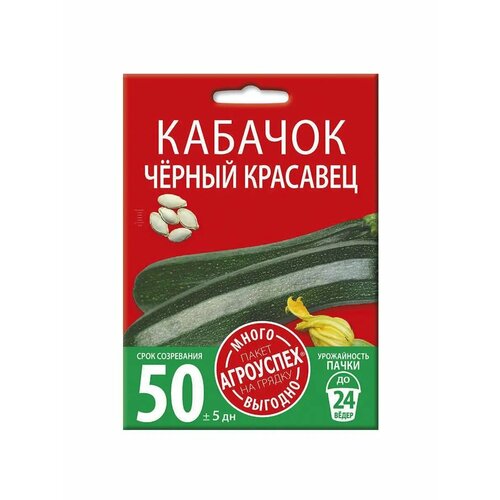 ���� ������ ������ ������ �������� 10 ��, ������ �� 168 ���