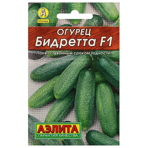 ���� ������ ������ 