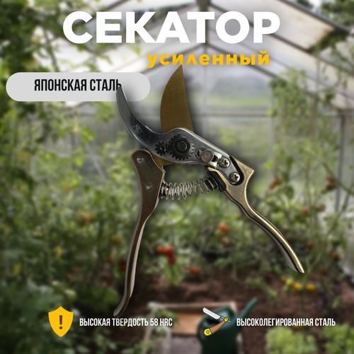 ���� ������� ������� ��������� 