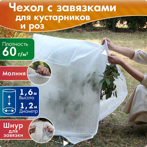 ���� ����� ��� ����������� � ��� ������ 1,6 �, ������� 1,2 �, ������ �� 499 ���