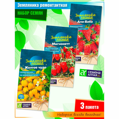 ���� ����� ����� ��������� ������������ �� ������ ����� (3 �����), ������ �� 295 ���