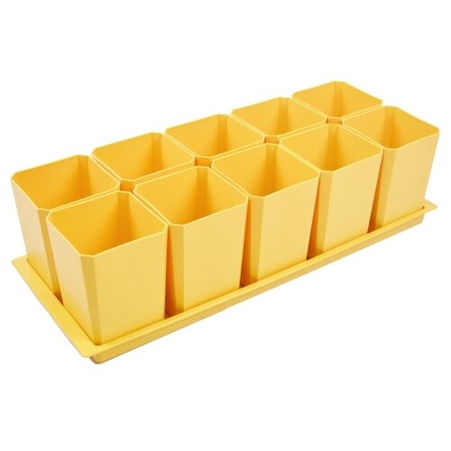 ���� ������� ����� ������� ��� ������� � ��������, 0.75 �, 10 ��., ������, ������ �� 945 ���