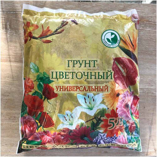 ���� ����� ��� ������� 5 �, ������ �� 305 ���