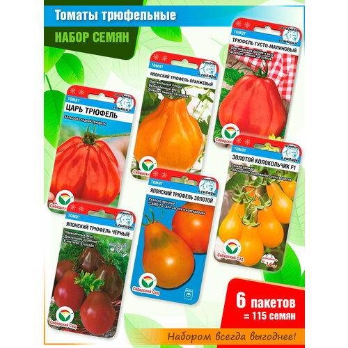 ���� ����� ����� ������� 