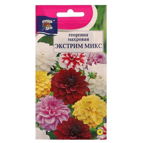 ���� ������ ������ ����� �������� �������� ����� �������, 0,2 ��, ������ �� 480 ���