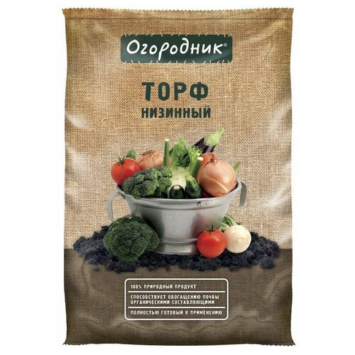 ���� ���� ����� �������� 9 �, ������ �� 400 ���