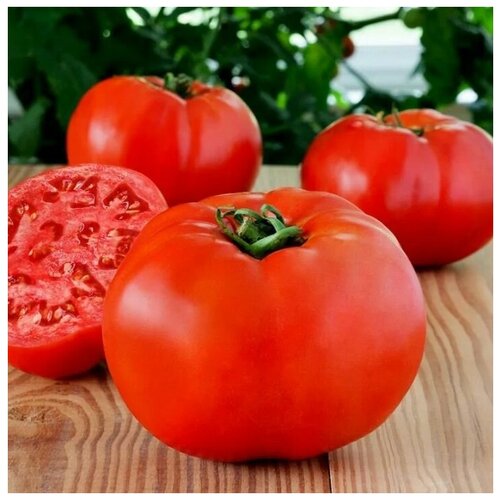    F1, , ,      , 10 ,   259 