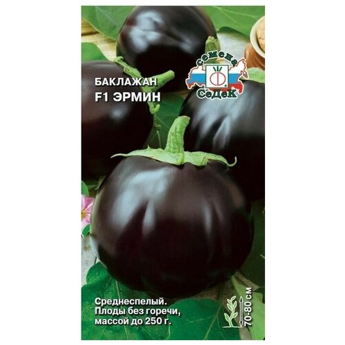 ���� ������ ����� 